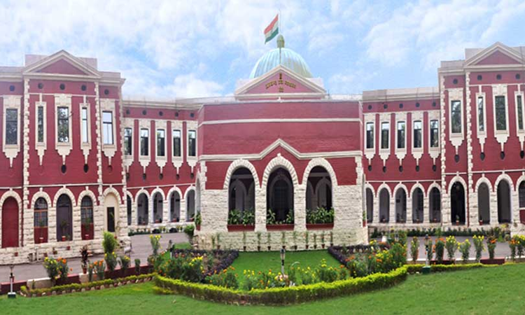 'Single Knife Blow During Sudden Argument Over Drinking Is Not Premeditated Murder': Jharkhand High Court