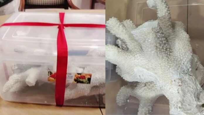 Jharkhand News: सफेद समुद्री मूंगा की काली मंडी पर वन विभाग का बड़ा शिकंजा, जमशेदपुर में चार तस्कर गिरफ्तार