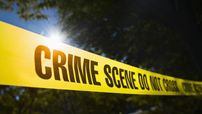 Jharkhand Crime: जमशेदपुर में खौफनाक वारदात, युवक पर चली 8 गोलियां, सिर चापड़ से फोड़कर की गई निर्मम हत्या