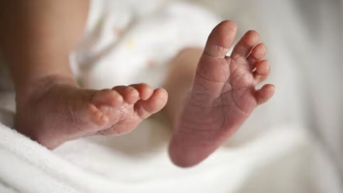 Jharkhand News: रांची में एक सप्ताह के बच्चे की खरीद-फरोख्त का पर्दाफाश, पुलिस ने रैडमा से शिशु को सुरक्षित निकाला