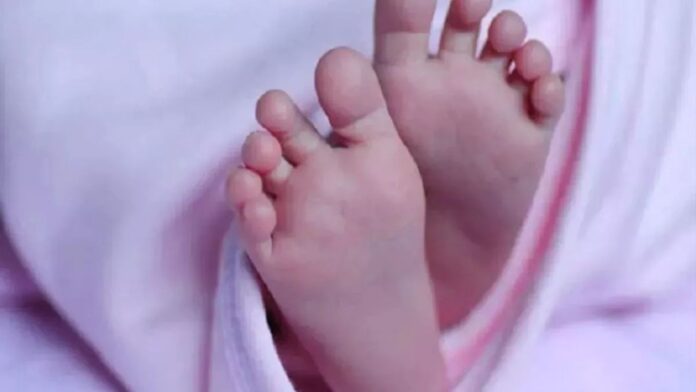 Jharkhand News: मानवता को शर्मसार करने वाली घटना, सड़क किनारे झाड़ियों में मिला नवजात