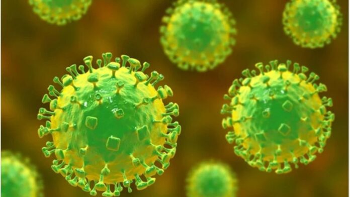 Jharkhand News: निपाह की दस्तक से हड़कंप, झारखंड में सख्त निगरानी और जागरूकता अभियान शुरू