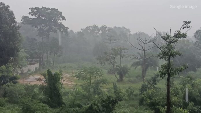 Jharkhand News: रांची और पलामू में तापमान में अचानक उतार-चढ़ाव, लोगों को सावधान रहने की जरूरत