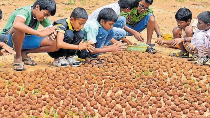 Jharkhand में हरियाली बढ़ाने की नई पहल. सीड बॉल तकनीक से जंगलों में लौटेगी हरियाली