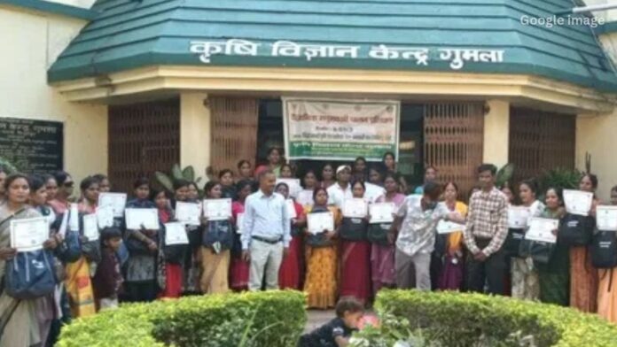 Jharkhand News: केवीके गुमला में मधुमक्खी पालन प्रशिक्षण से किसानों की आय बढ़ाने की नई पहल