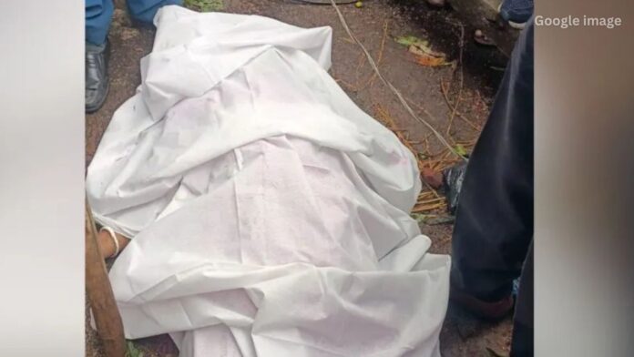 Jharkhand News: बनासो हाट में तेज हवा बारिश के बीच पेड़ गिरने से महिला की दर्दनाक मौत